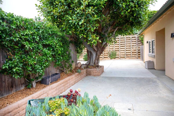 PACE North County Gallery Photo 9